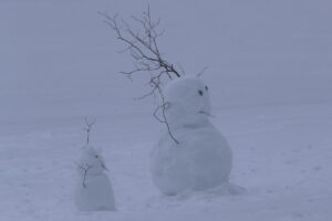 奥日光 2026/01/22