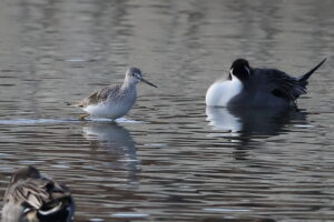 埼玉調節池 2026/01/11