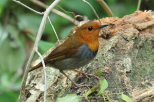 水元公園 2026/04/18